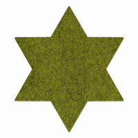 FILZ Untersetzer-Set Stern 8 Stück - grün meliert